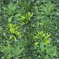 Jardin Vertical Artificial Enebro (c) 1.00m X 1.00m