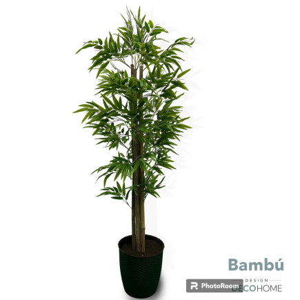Bambu 1 80mts