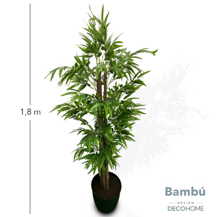 Bambu 1 80mts