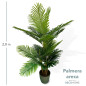 Palmera Areca 38 Hojas 2 00mts