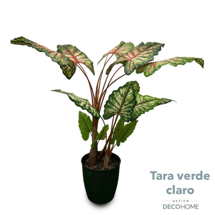 Tara Verde Claro De 1 70 16 Hojas