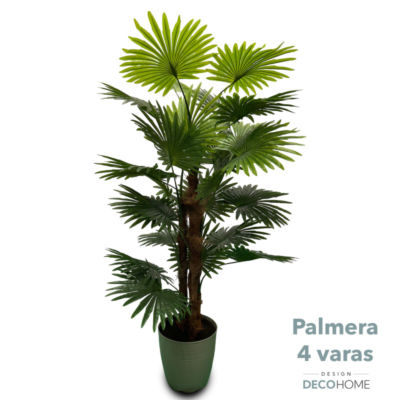 Palmera 4 Varas 1.80 Mts