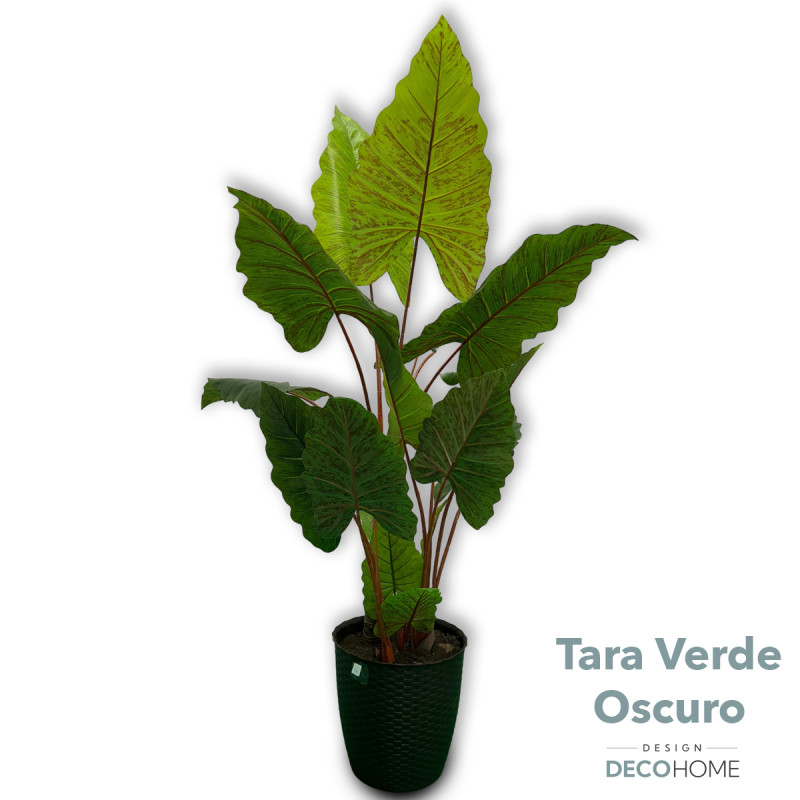 Tara Verde Oscuro De 1 70 16 Hojas