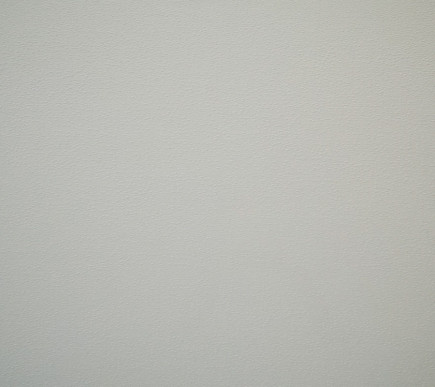 Placa De Yeso Gyp-c Con Pvc Blanco 7mm 2x2 Recto 8un