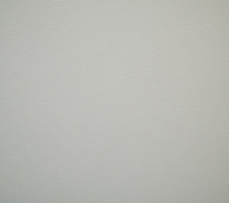 Placa De Yeso Gyp-c Con Pvc Blanco 7mm 2x4 Recto 8un