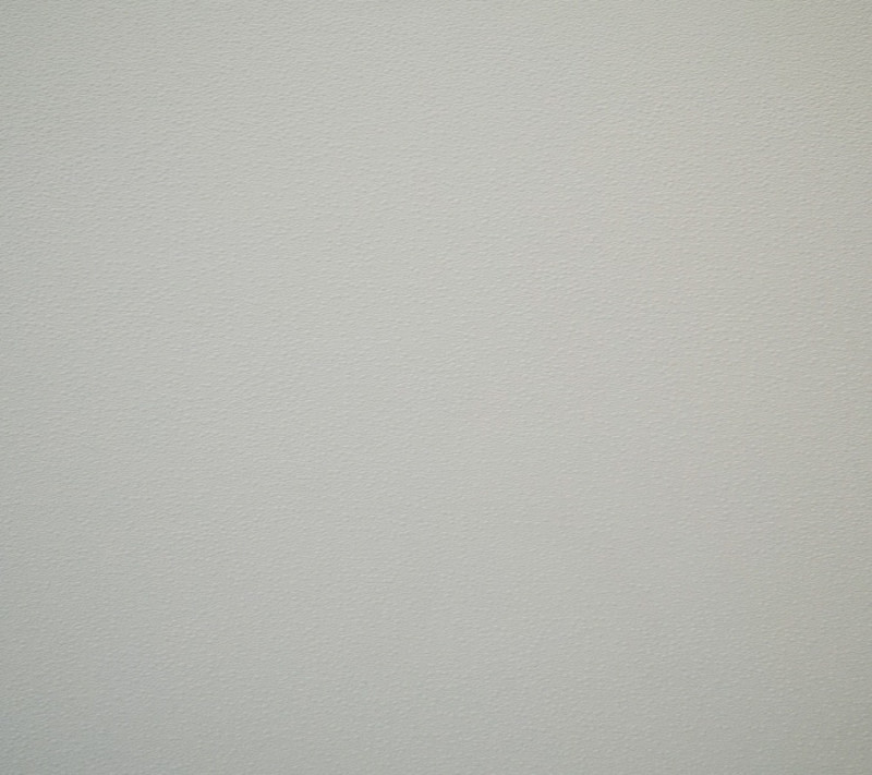 Placa De Yeso Gyp-c Con Pvc Blanco 7mm 2x4 Recto 8un