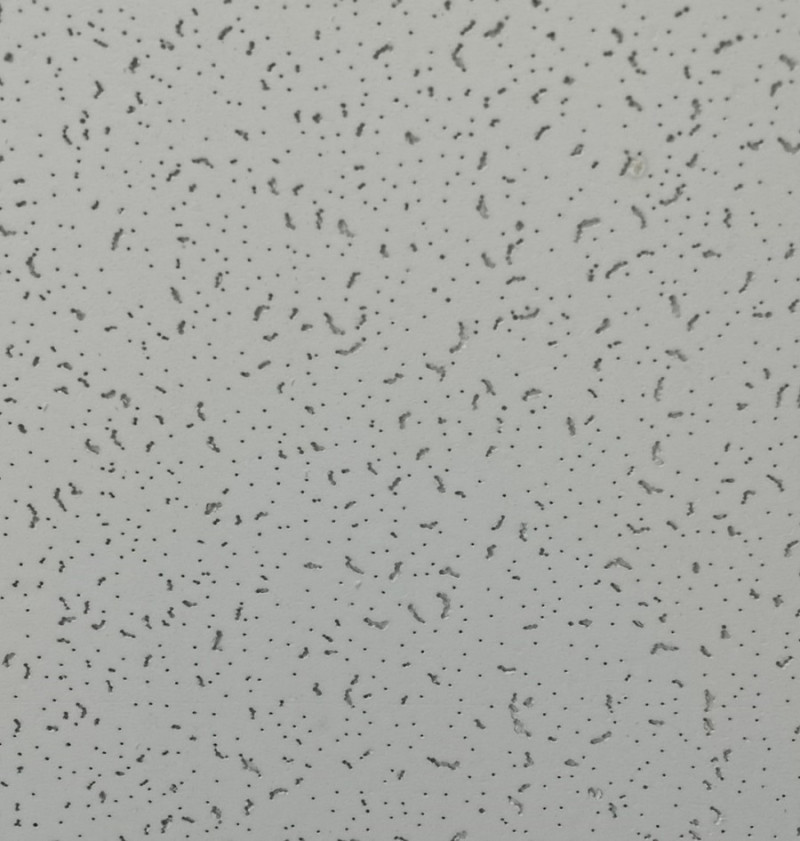 Fm Acustiplak Concorde 603x603x12mm 9-16 12 Un.